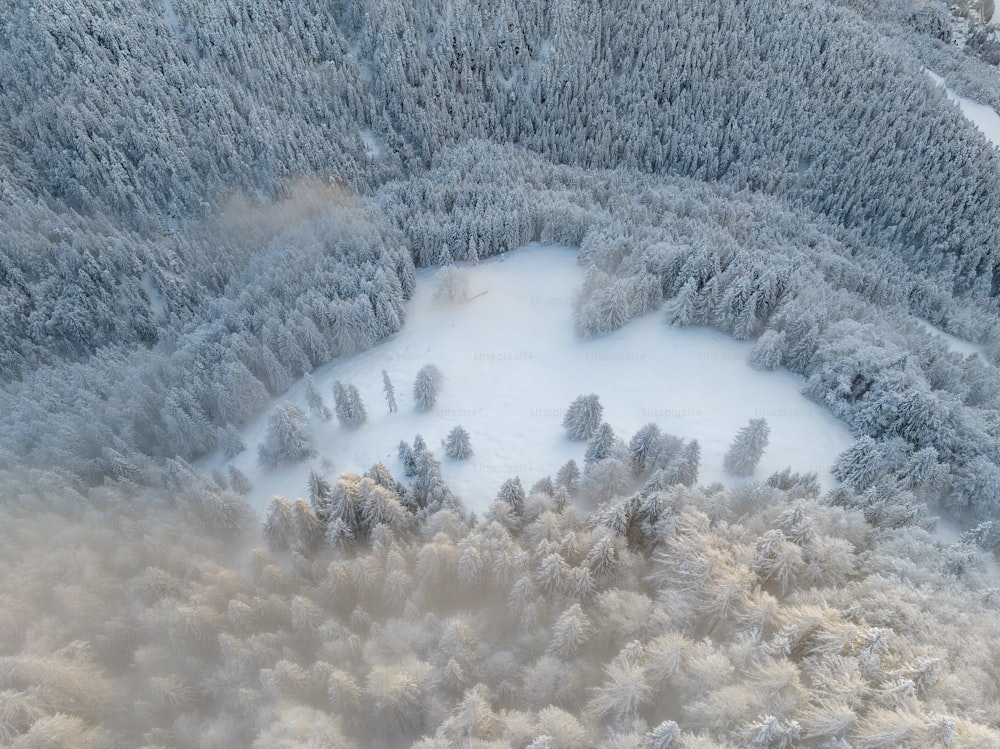 an aerial view of a snow covered forest