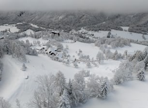 Luftaufnahme eines von Bäumen umgebenen Skigebiets