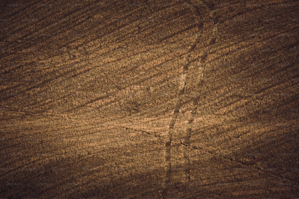 a close up of a brown surface with lines drawn on it