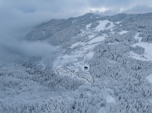 uma vista aérea de uma estação de esqui cercada por árvores
