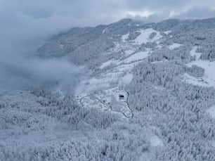 an aerial view of a ski resort surrounded by trees