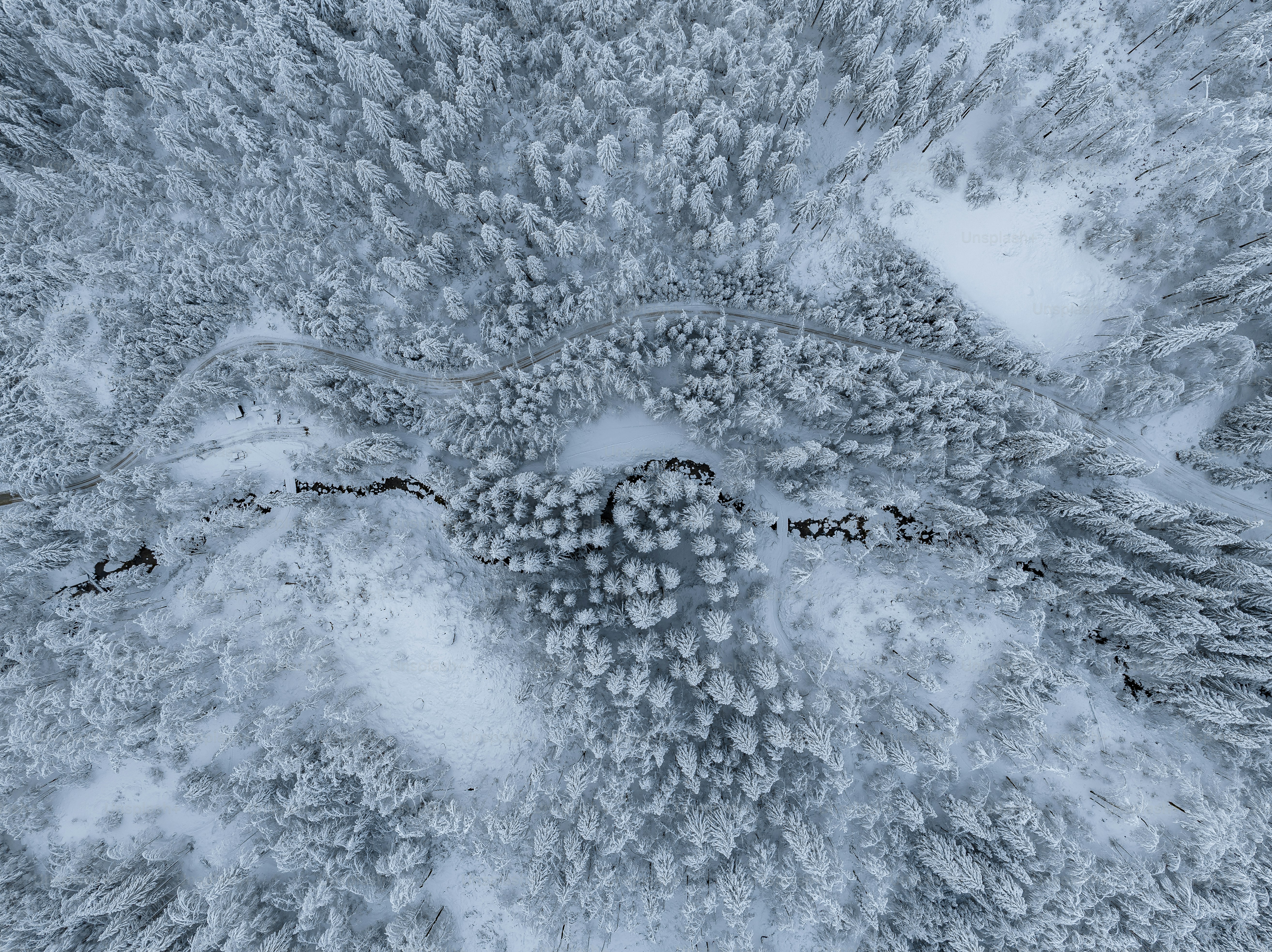 An aerial view of a ski resort surrounded by trees photo – Forest Image ...