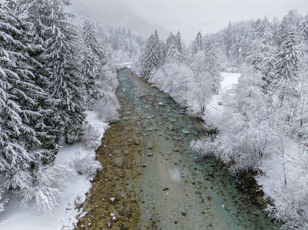 a river running through a forest covered in snow