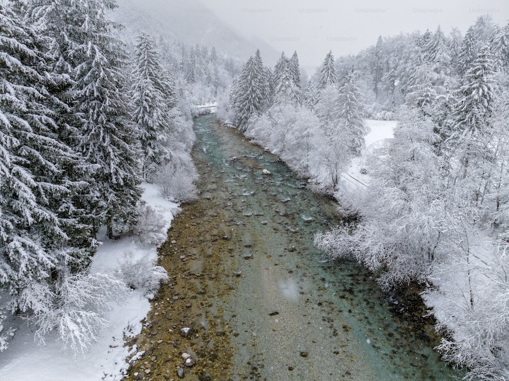 Ein Fluss, der durch einen schneebedeckten Wald fließt