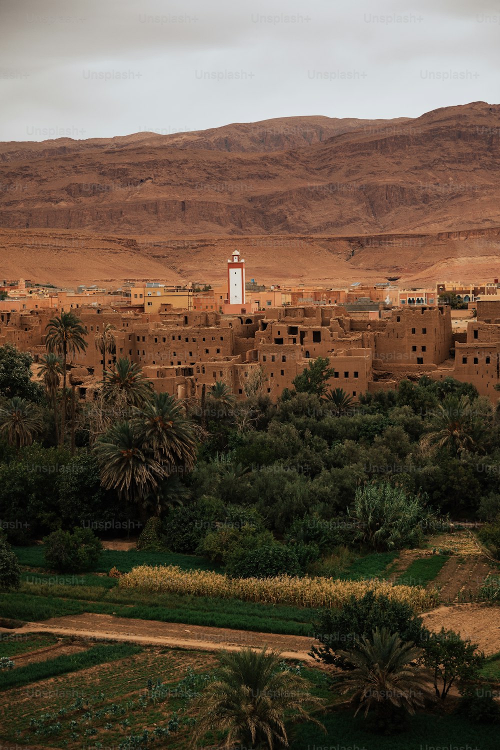 a village in the desert with mountains in the background