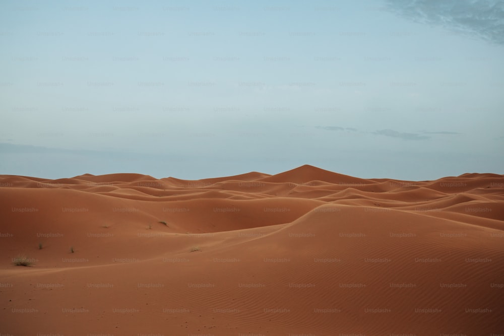 사막에있는 모래 언덕의 큰 그룹