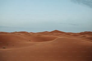 a large group of sand dunes in the desert