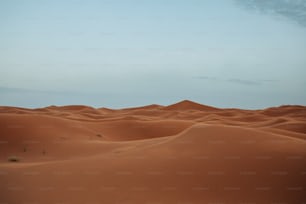 Un grand groupe de dunes de sable dans le désert