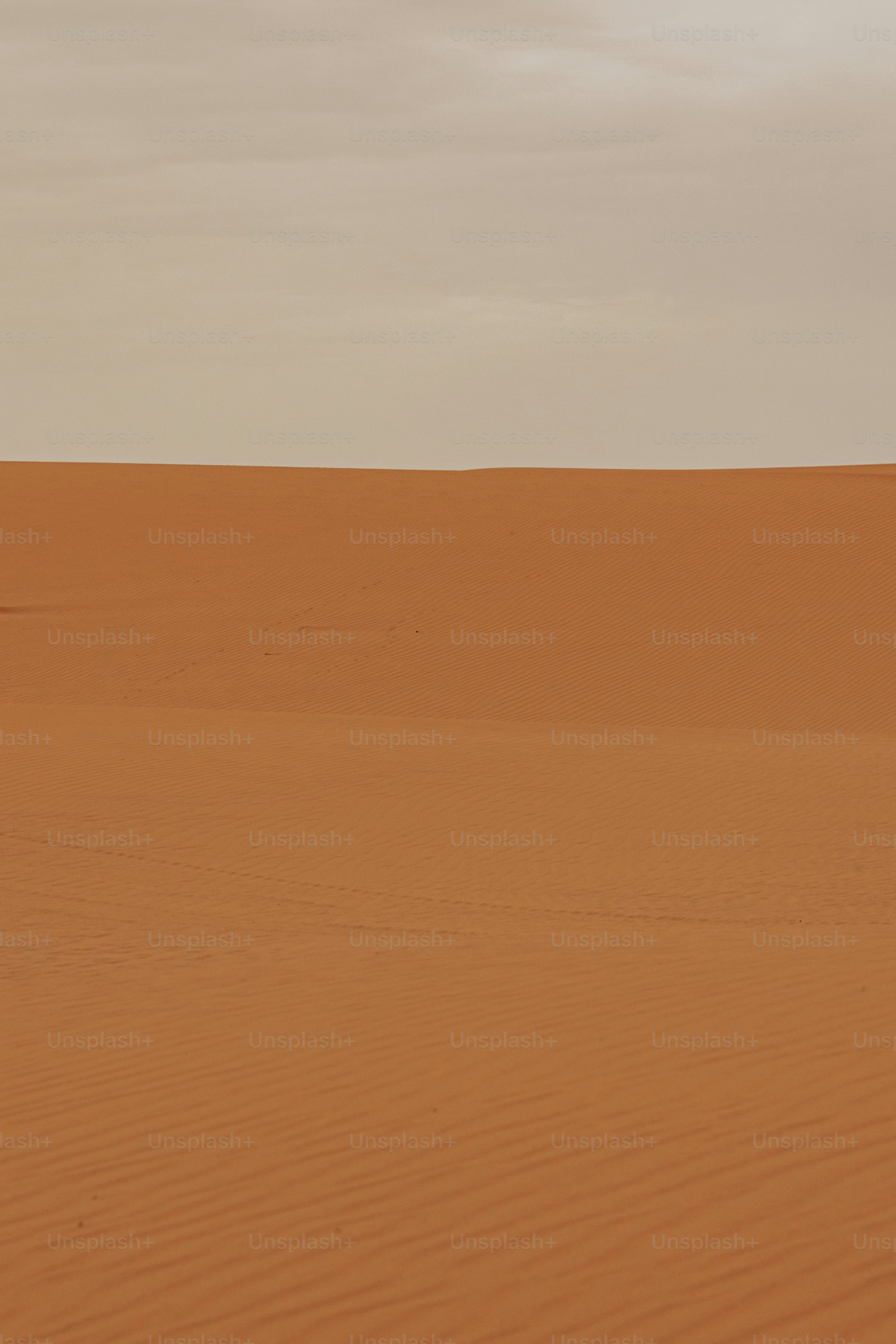 premium_photo-1674156590308-6f3d7509ee25