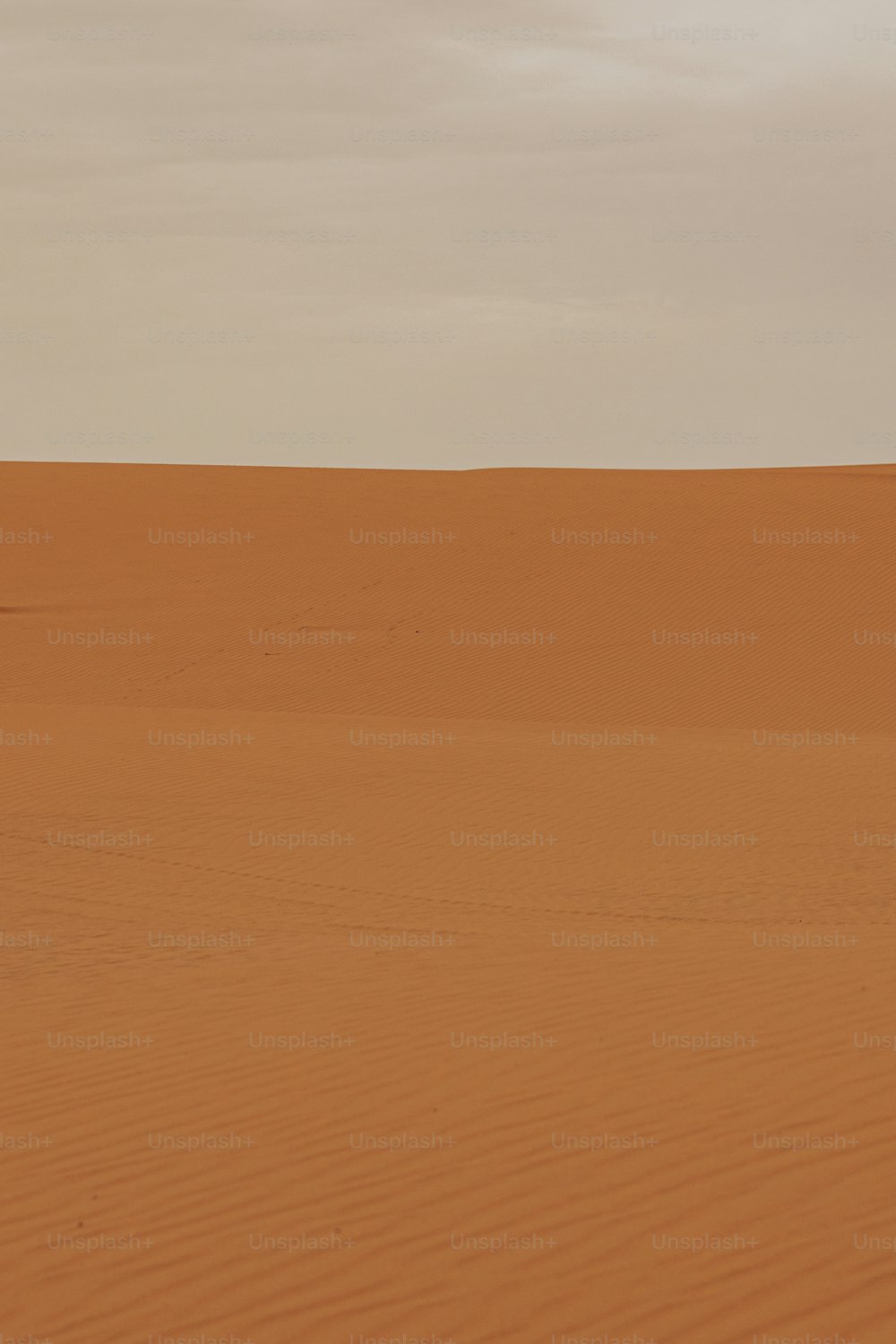 a person riding a horse in the desert