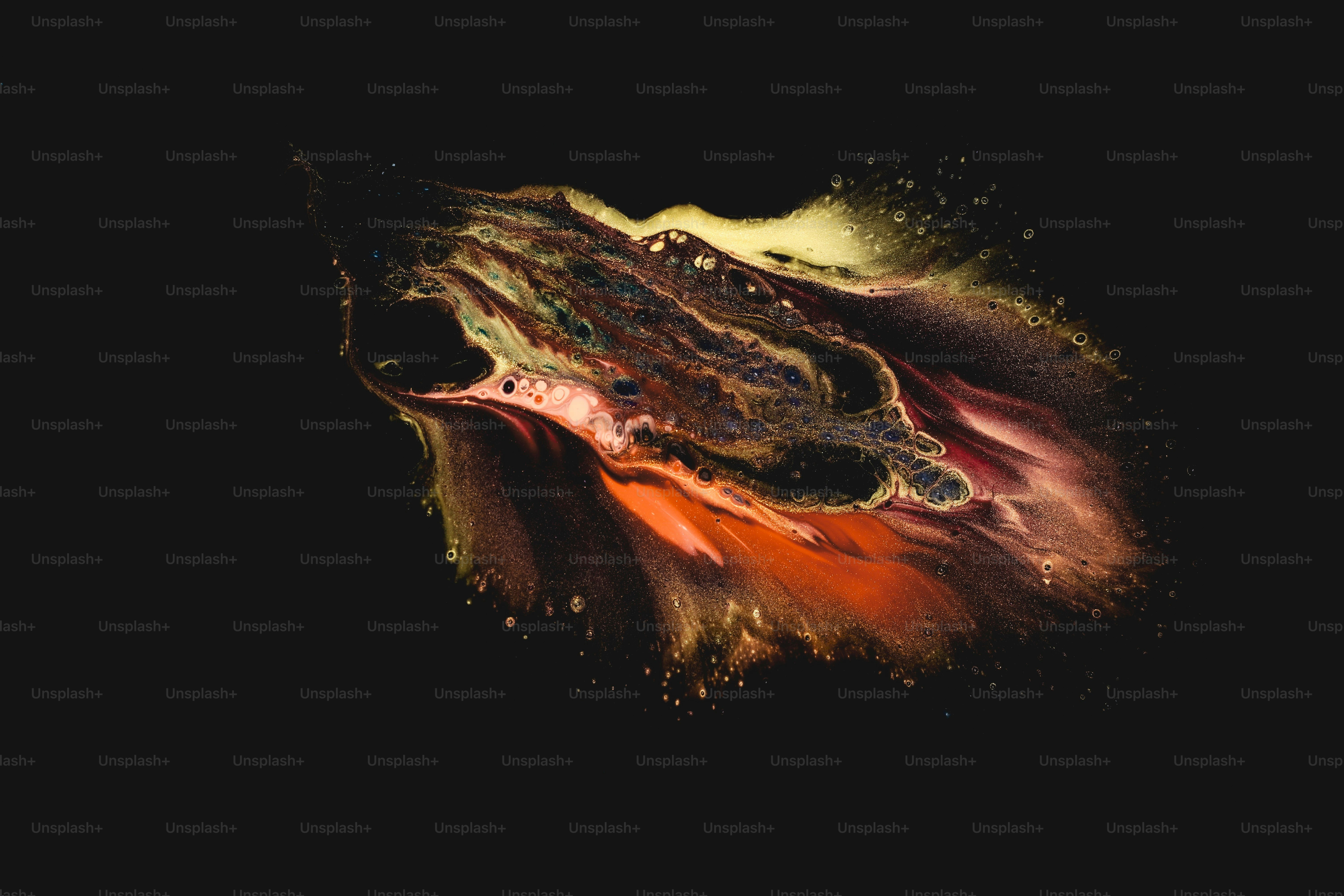 검은 배경에 꽃의 클로즈업