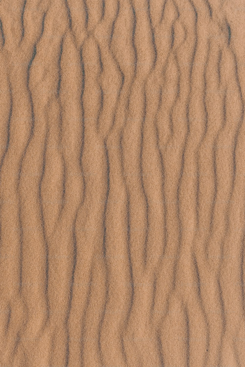Un primo piano di una duna di sabbia con linee ondulate