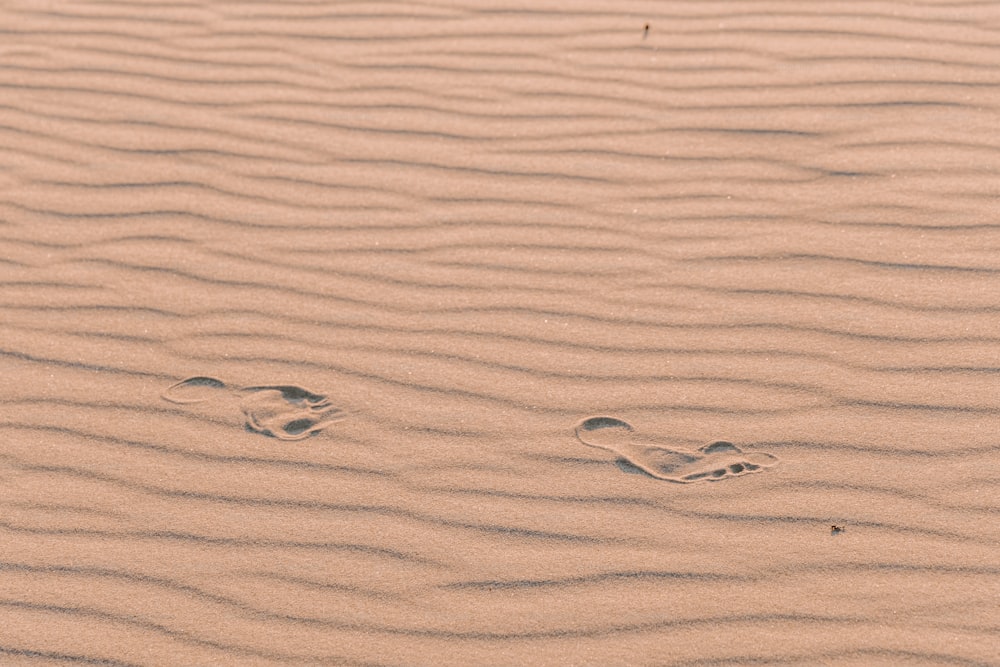 Deux empreintes de pas dans le sable d’une plage