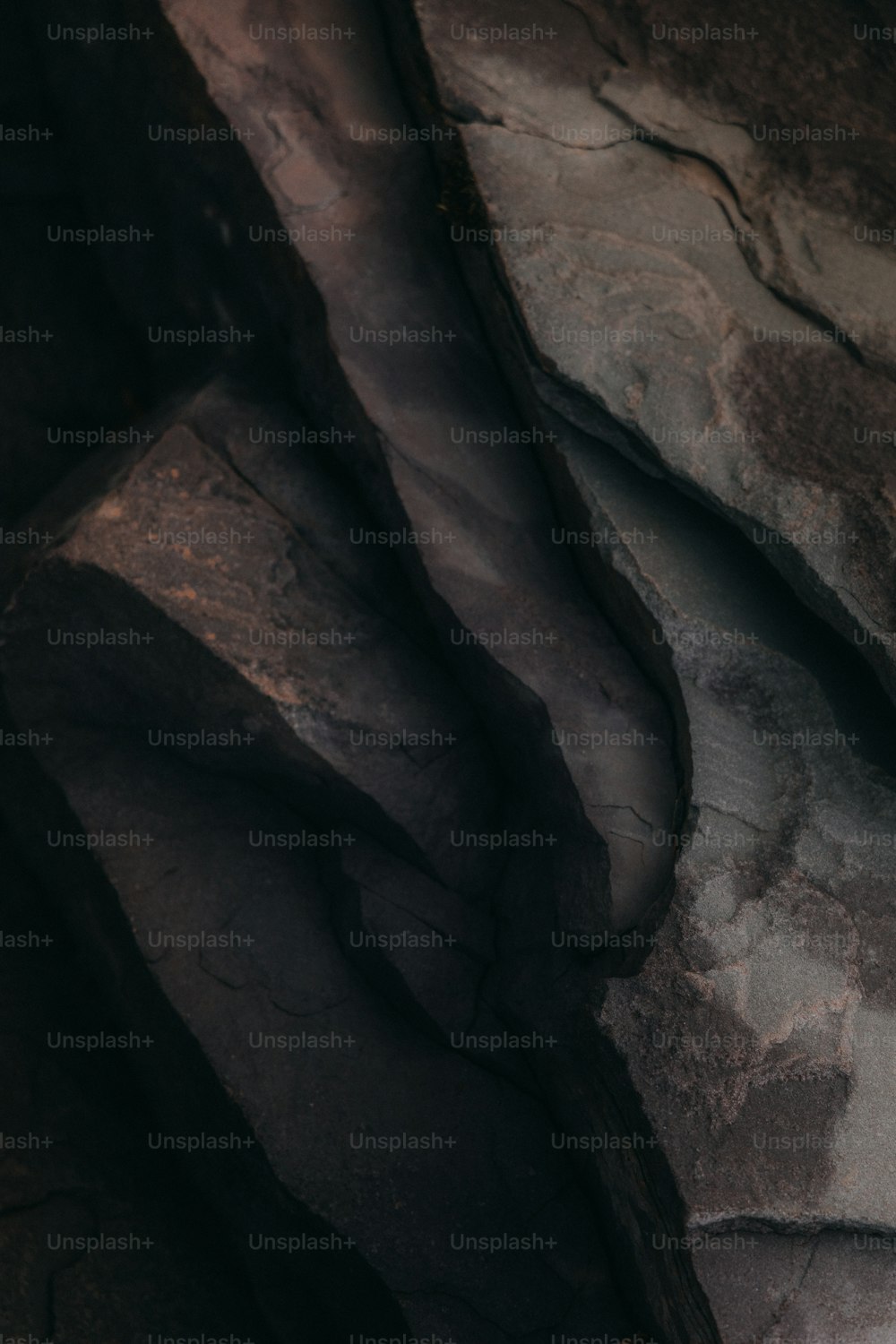 a bird is perched on a rock ledge