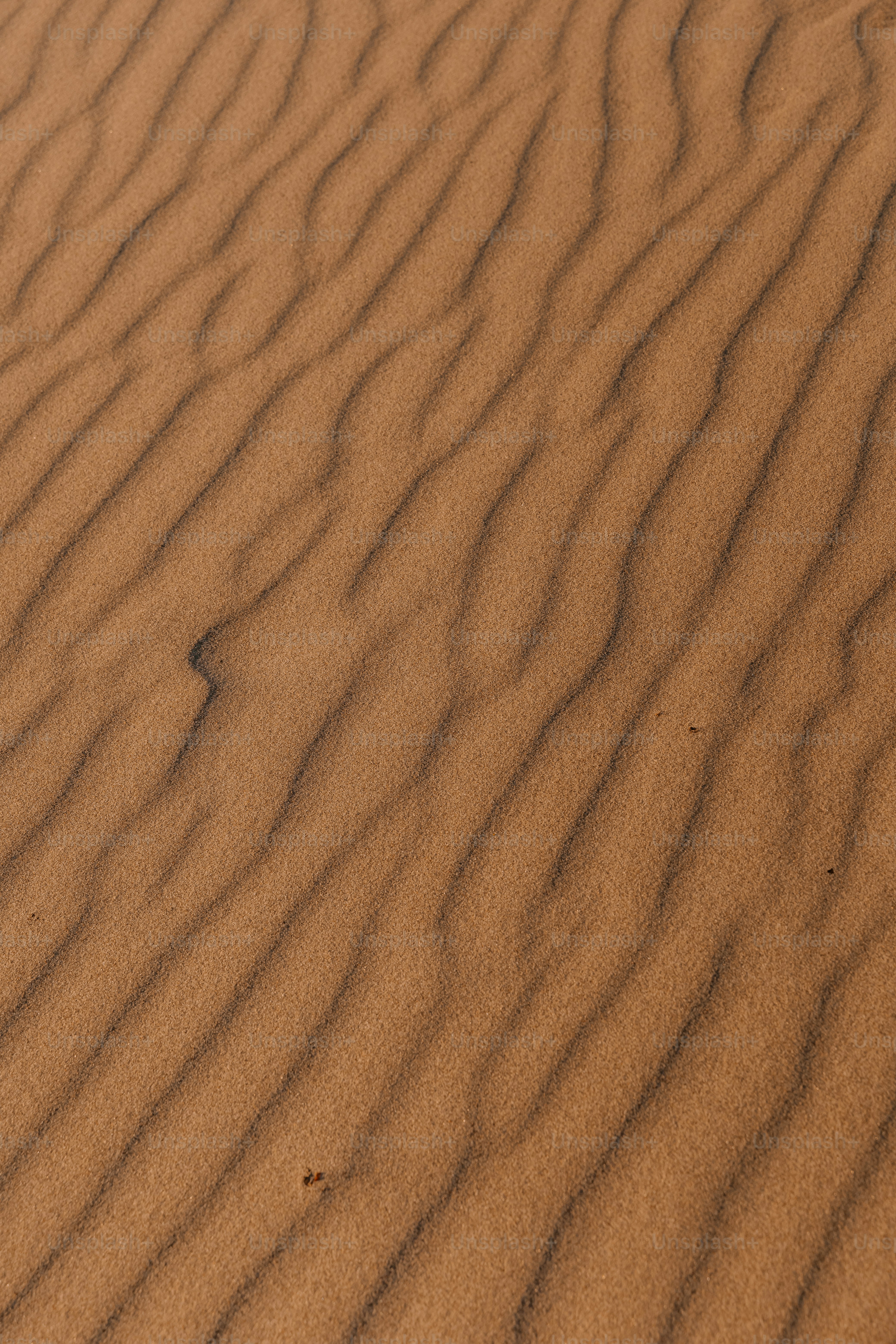 a sand dune with a small patch of grass growing out of it