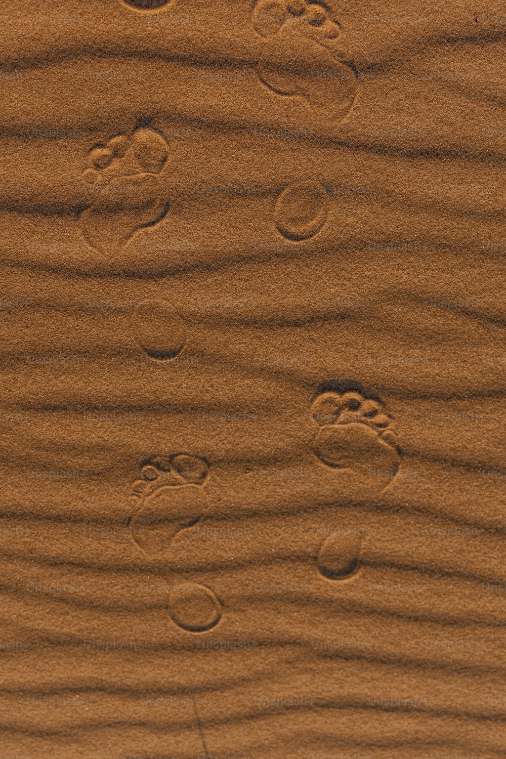 footprints in the sand of a beach