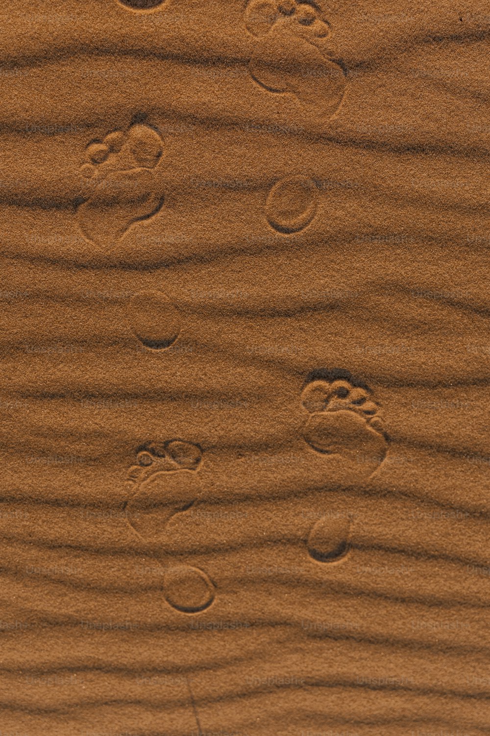 ビーチの砂の中の足跡