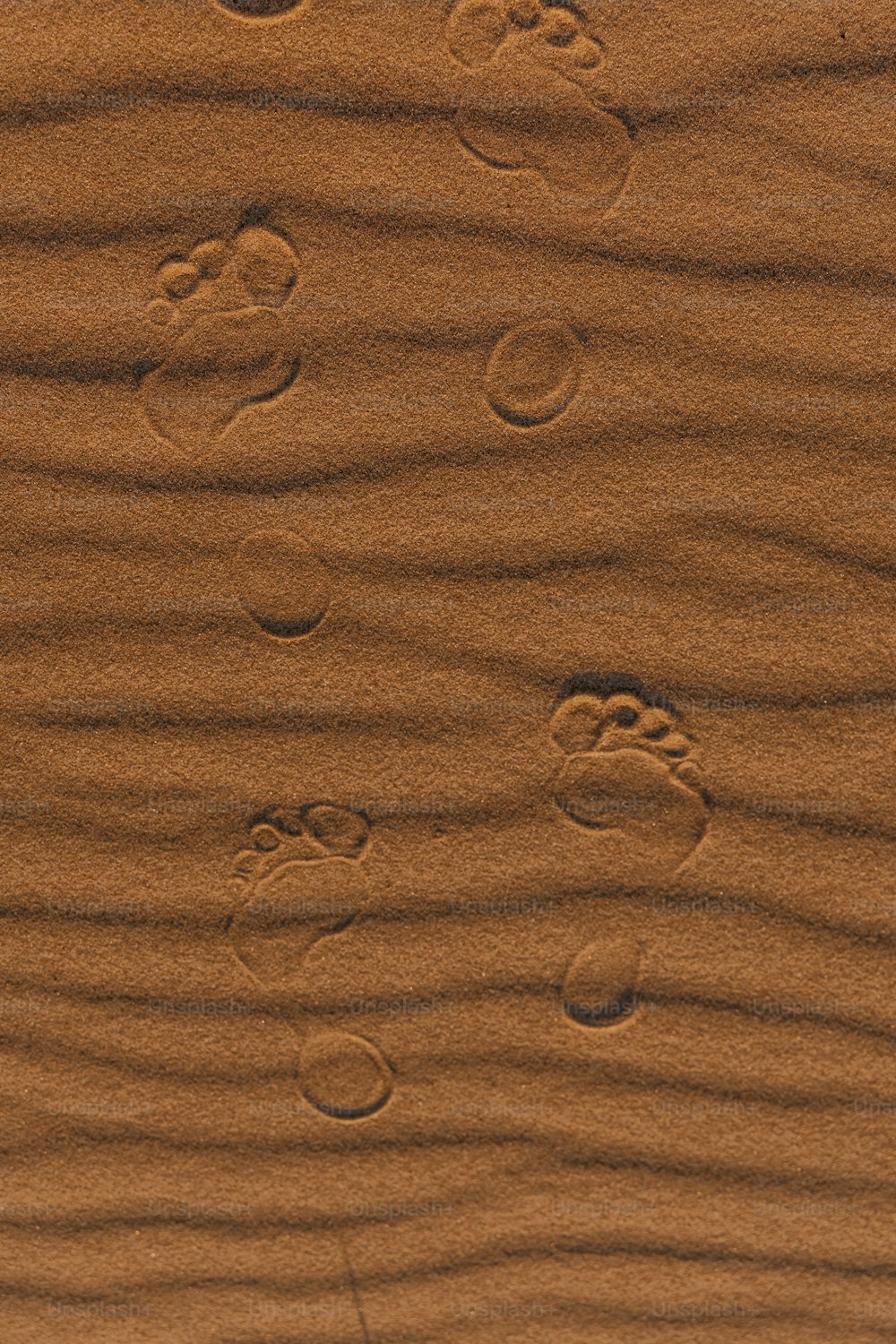 Fußabdrücke im Sand eines Strandes