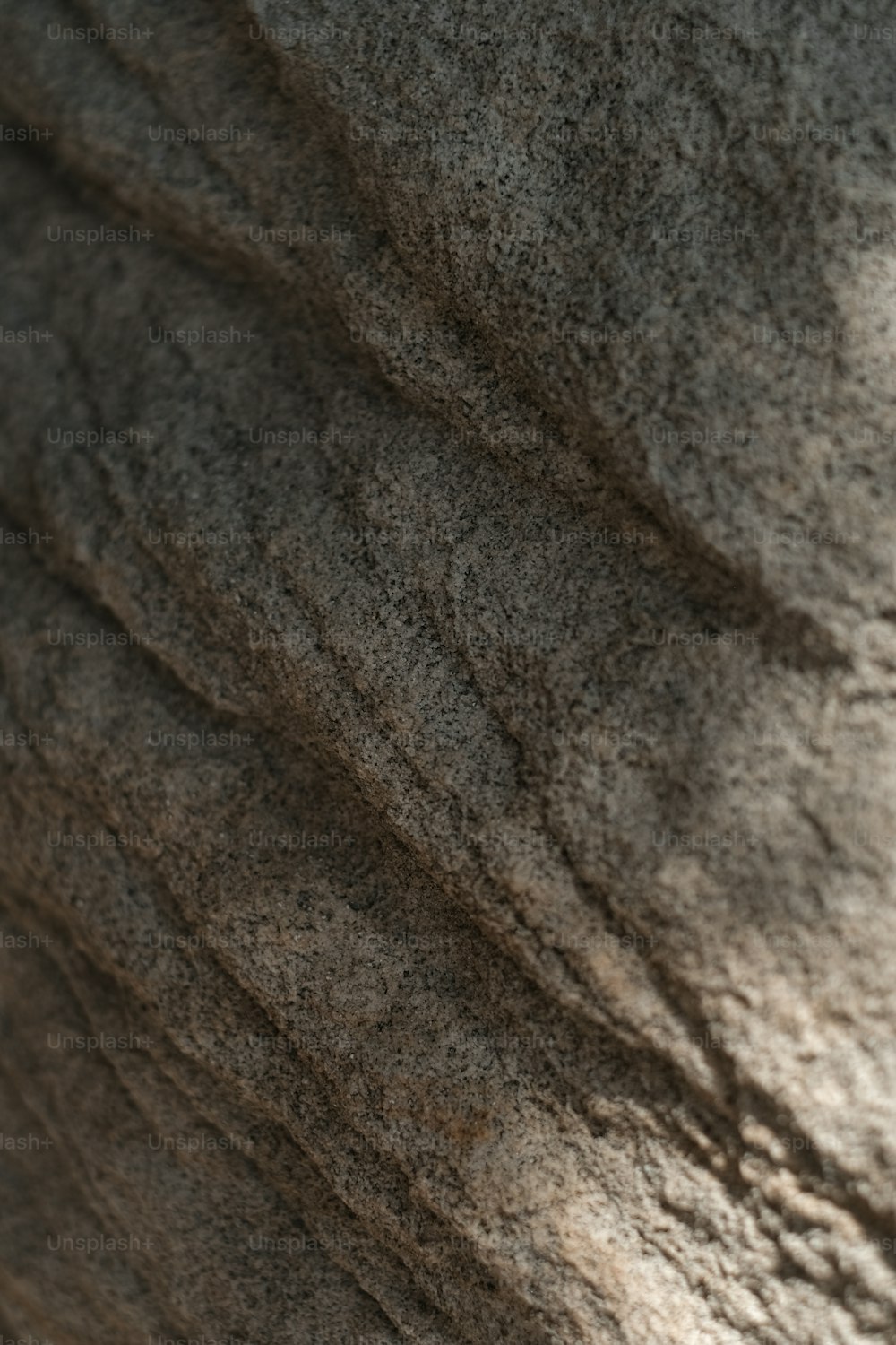 a close up of an elephant's skin and trunk