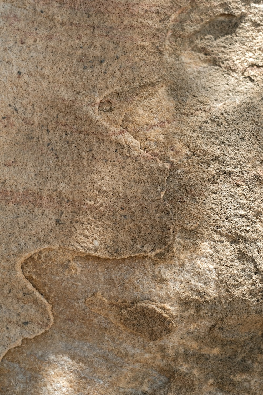 a close up of a rock with a bird on it