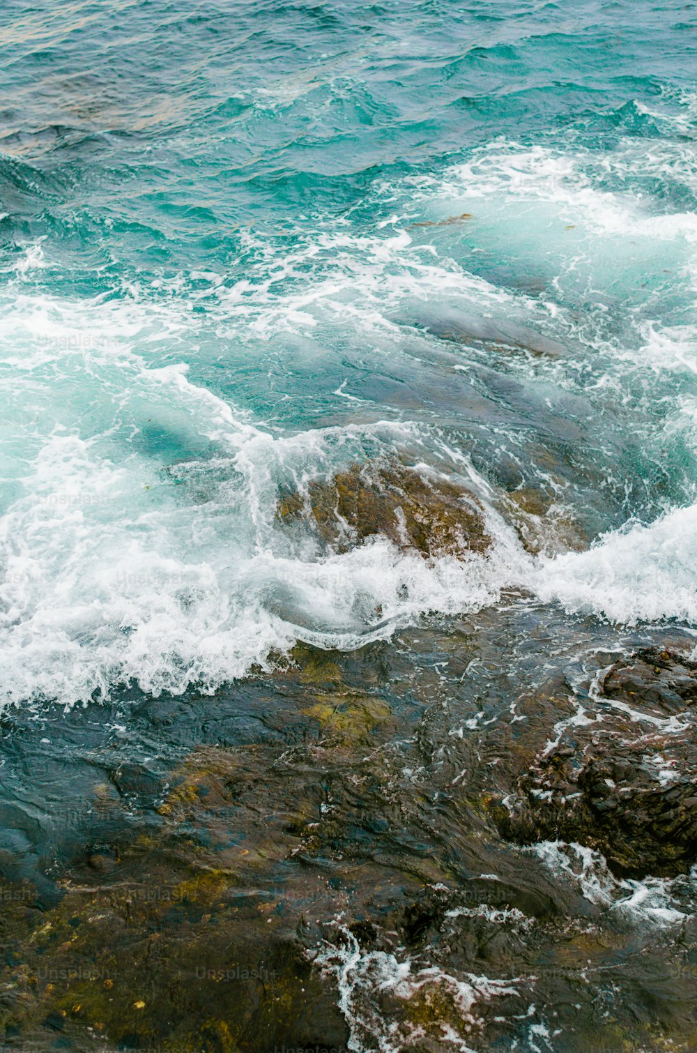 a bird sitting on a rock in the ocean