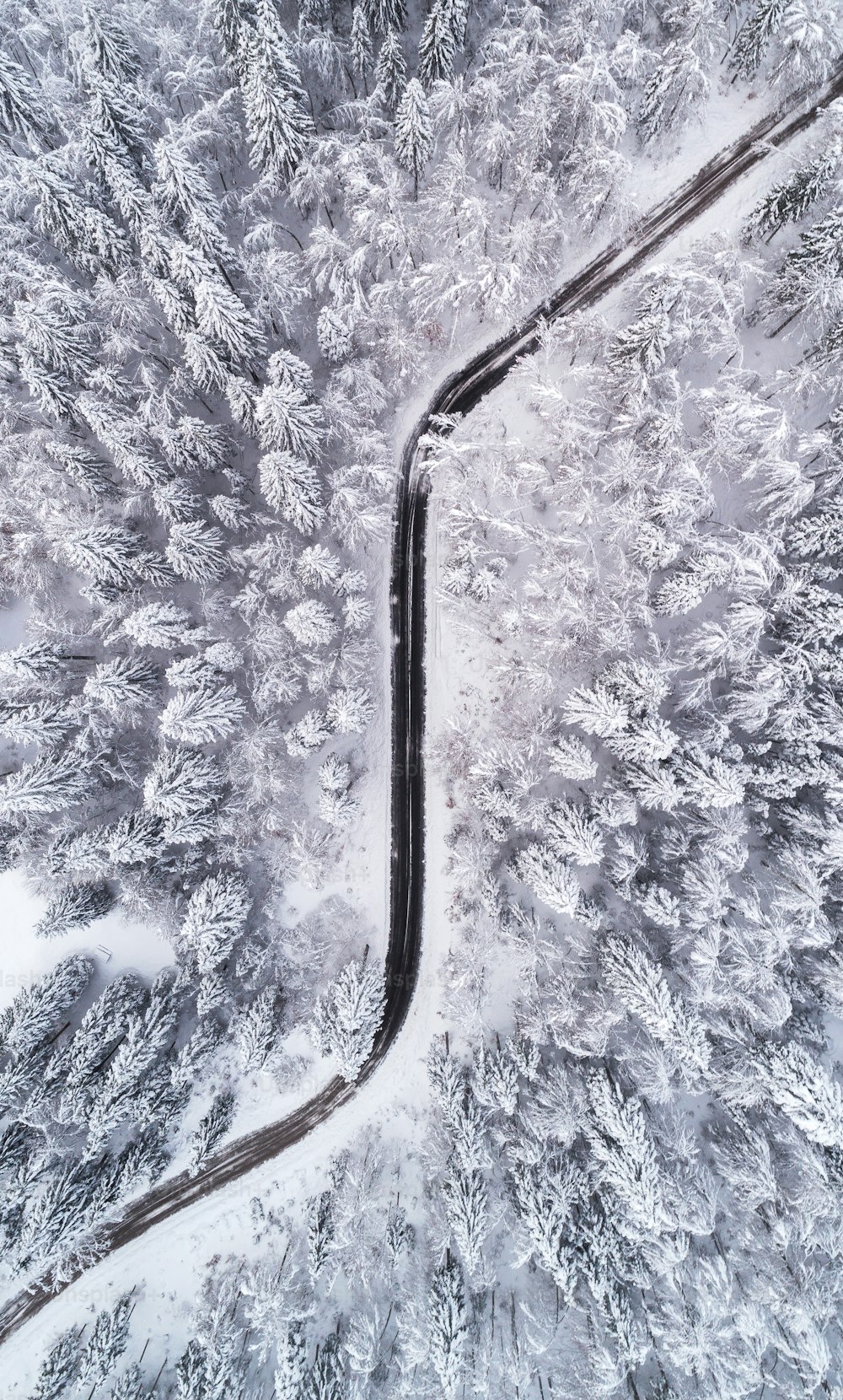 Eine kurvenreiche Straße inmitten eines verschneiten Waldes