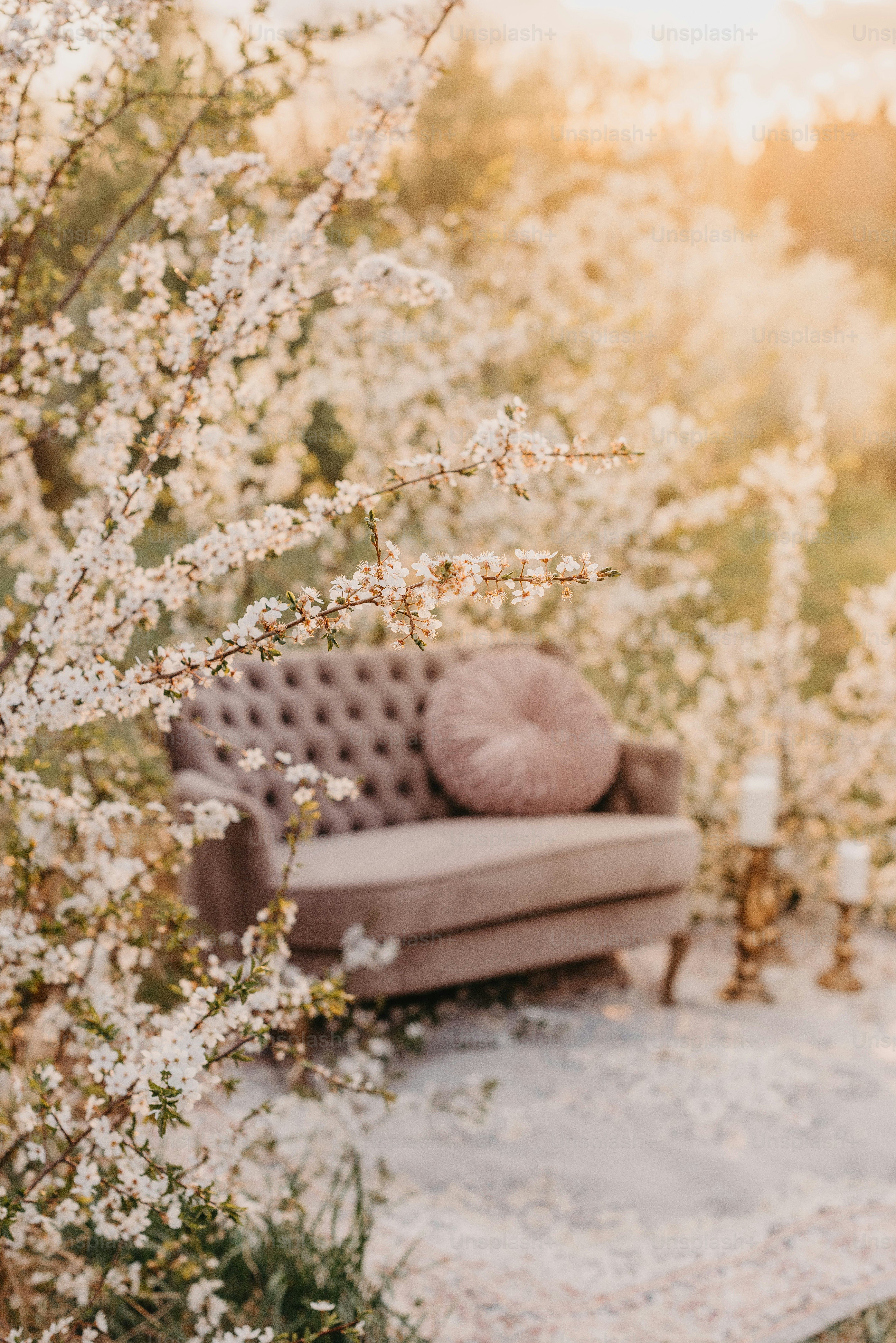 a couch sitting on top of a rug next to a tree