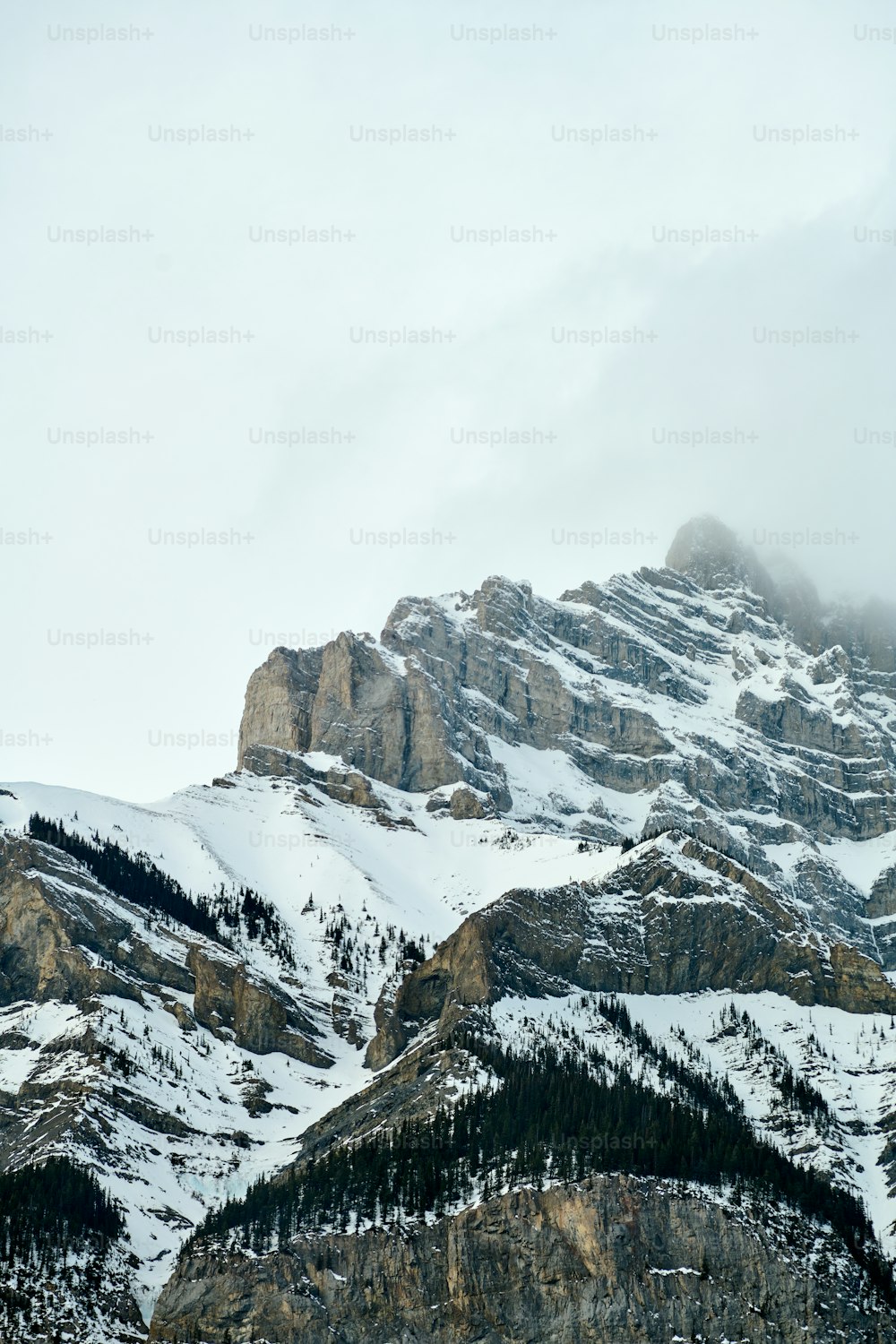 a mountain covered in snow and surrounded by trees