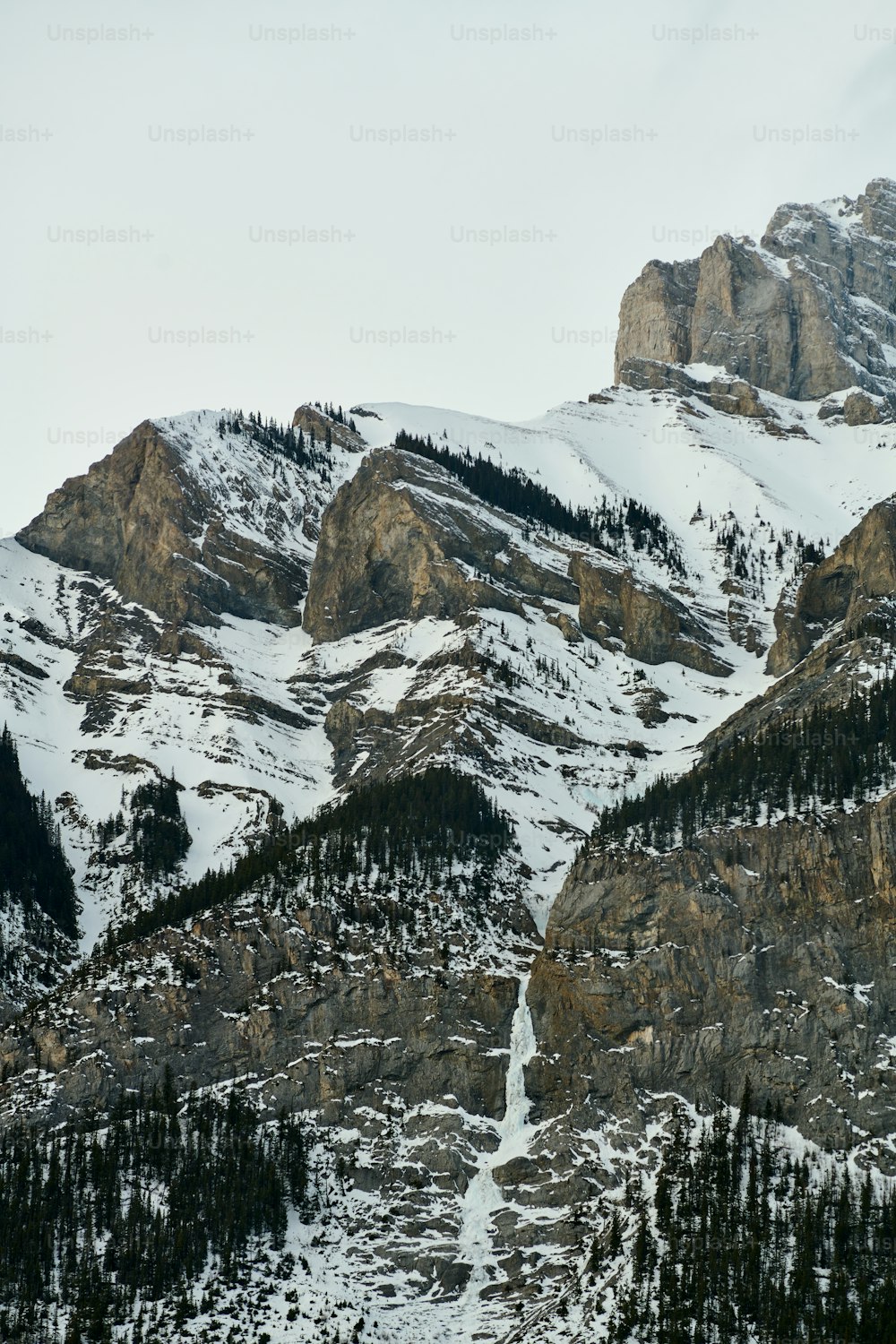 a snow covered mountain range with trees in the foreground