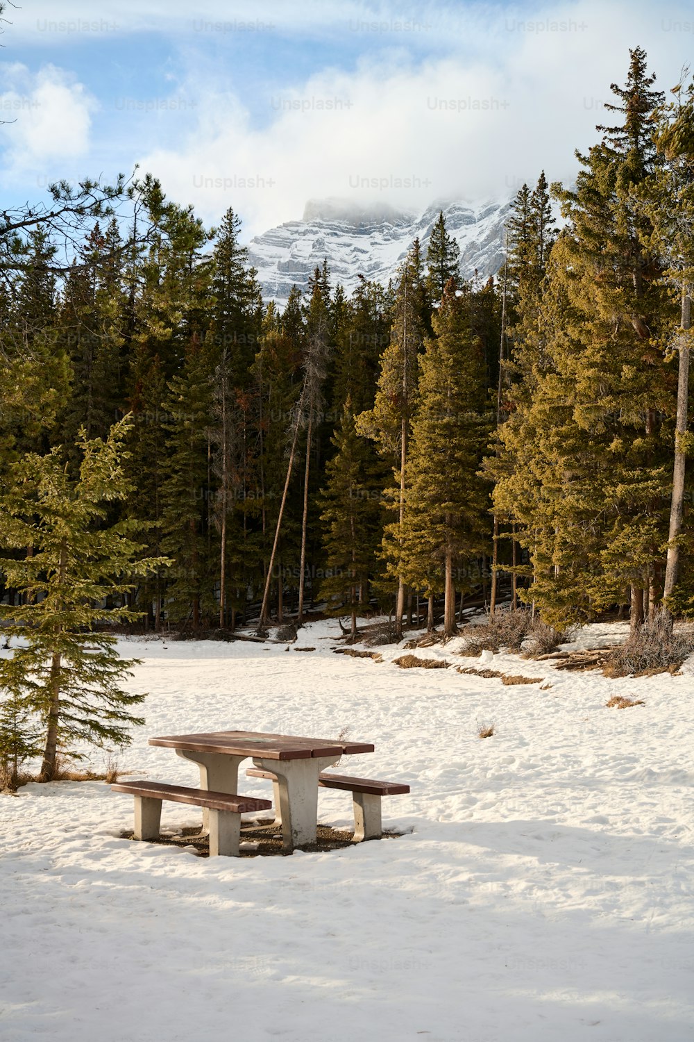 a picnic table in the middle of a snowy field