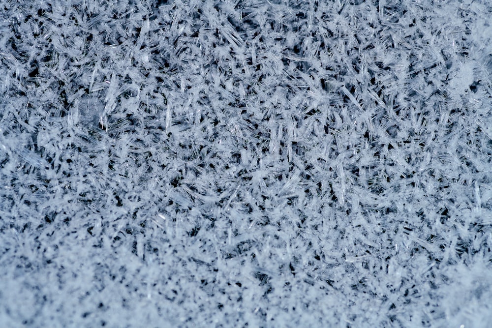 um close up de uma superfície coberta de neve