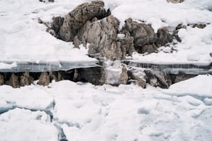 una ladera de montaña cubierta de nieve con una cascada