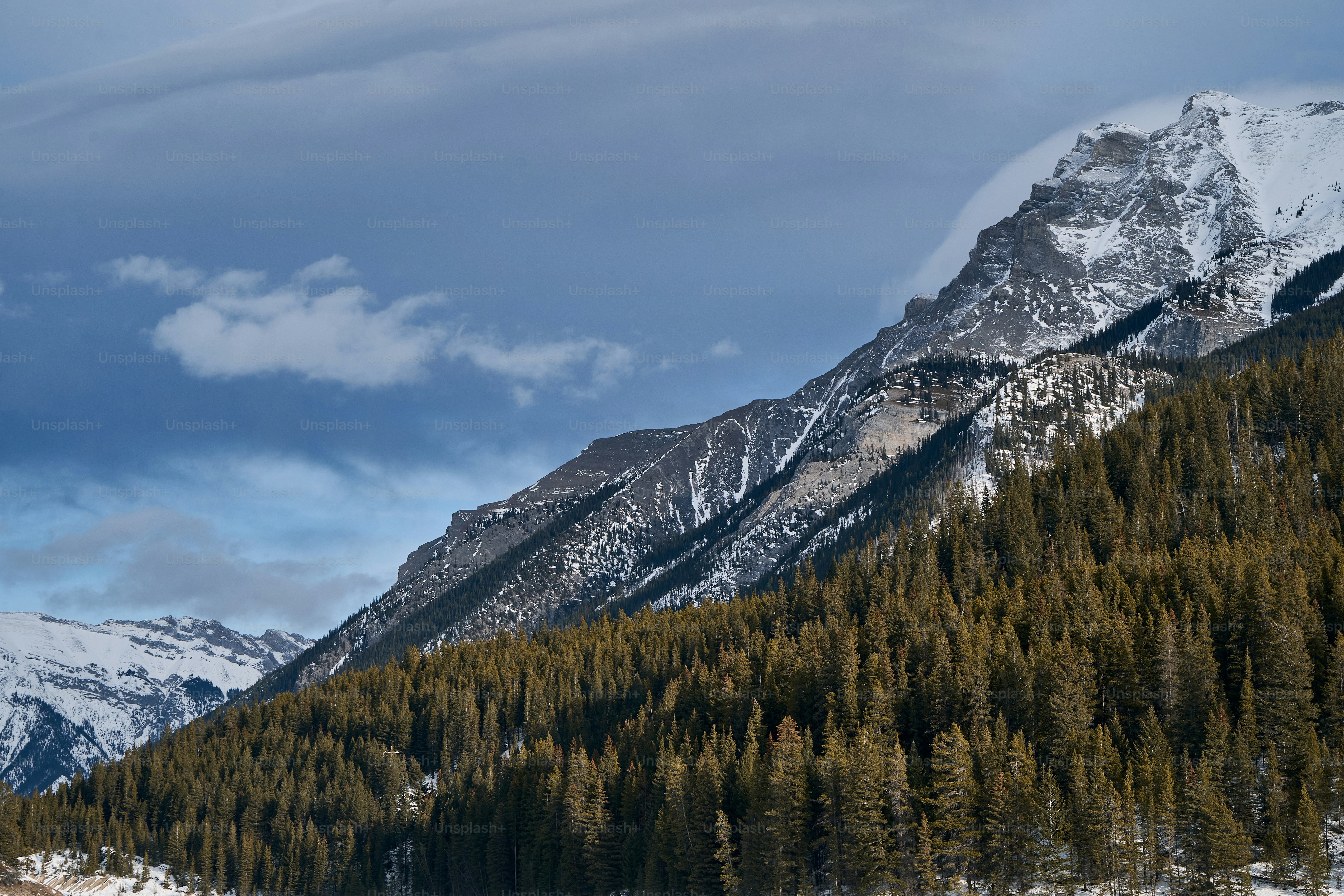 a snow covered mountain with pine trees in the foreground