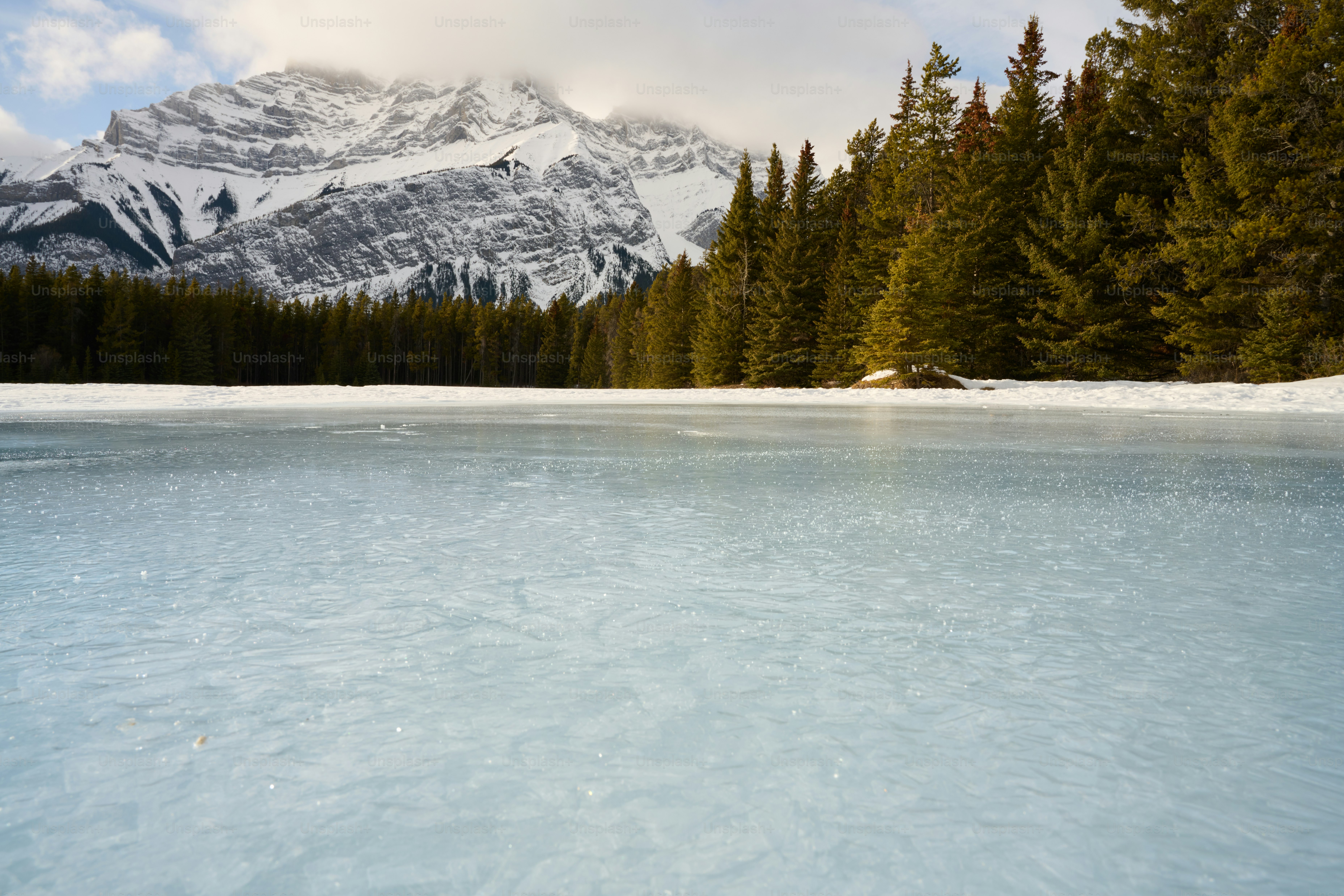 a body of water surrounded by trees and mountains