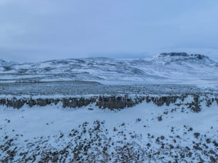 a snowy landscape with a mountain in the background