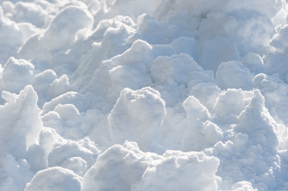 a bird is sitting on a pile of snow