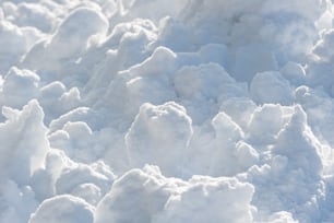 a bird is sitting on a pile of snow