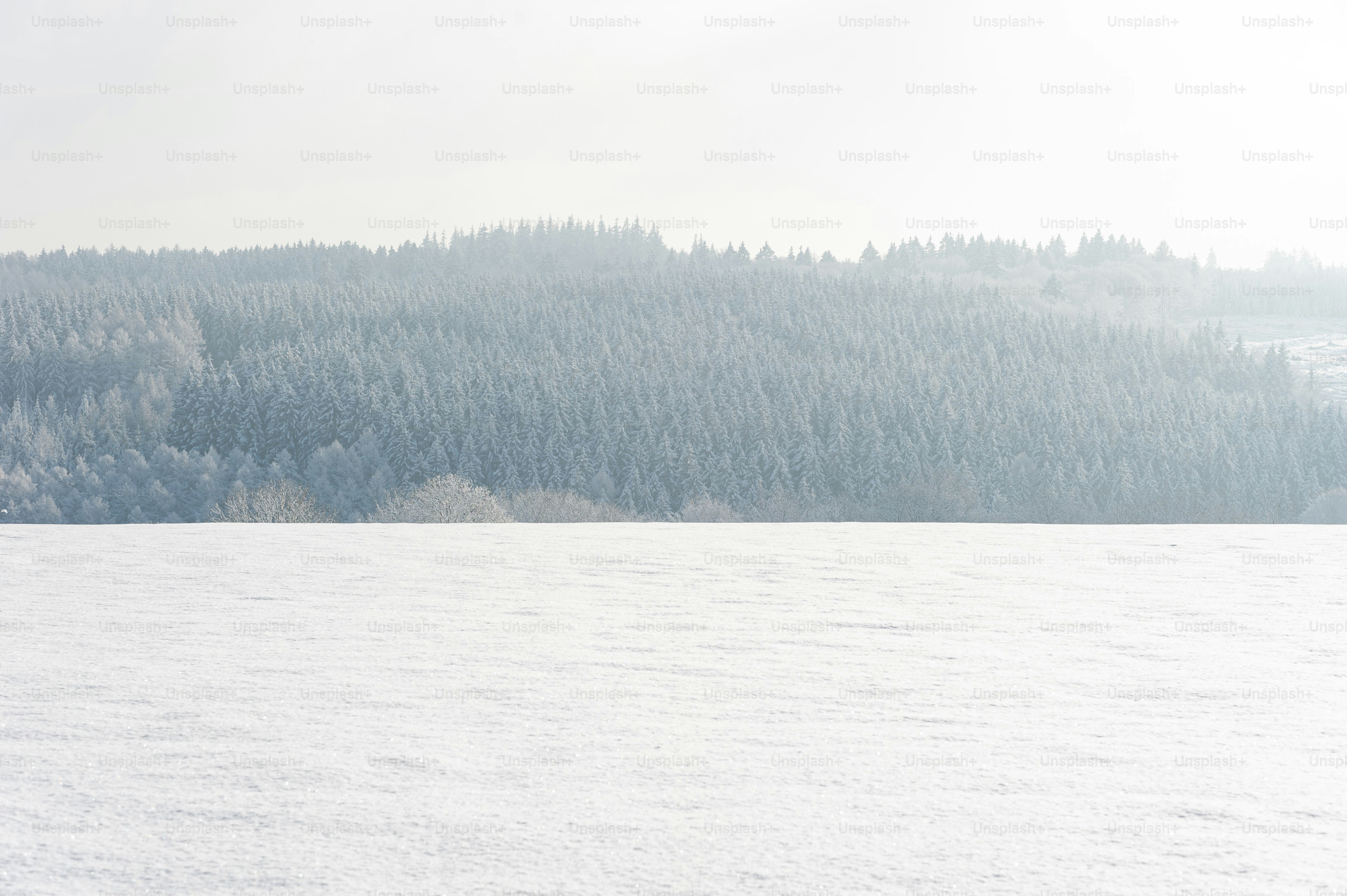 a person riding skis on a snowy surface
