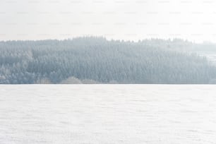 a person riding skis on a snowy surface