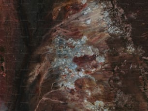 Un primer plano de una roca con una sustancia roja y blanca en ella