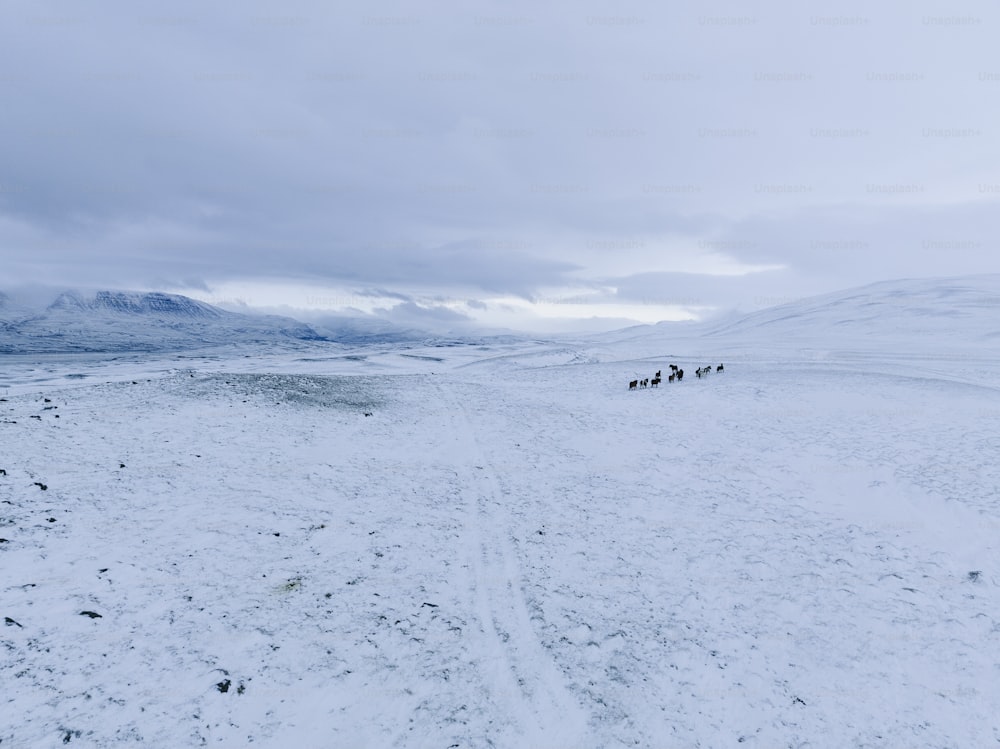 a group of people riding horses across a snow covered field