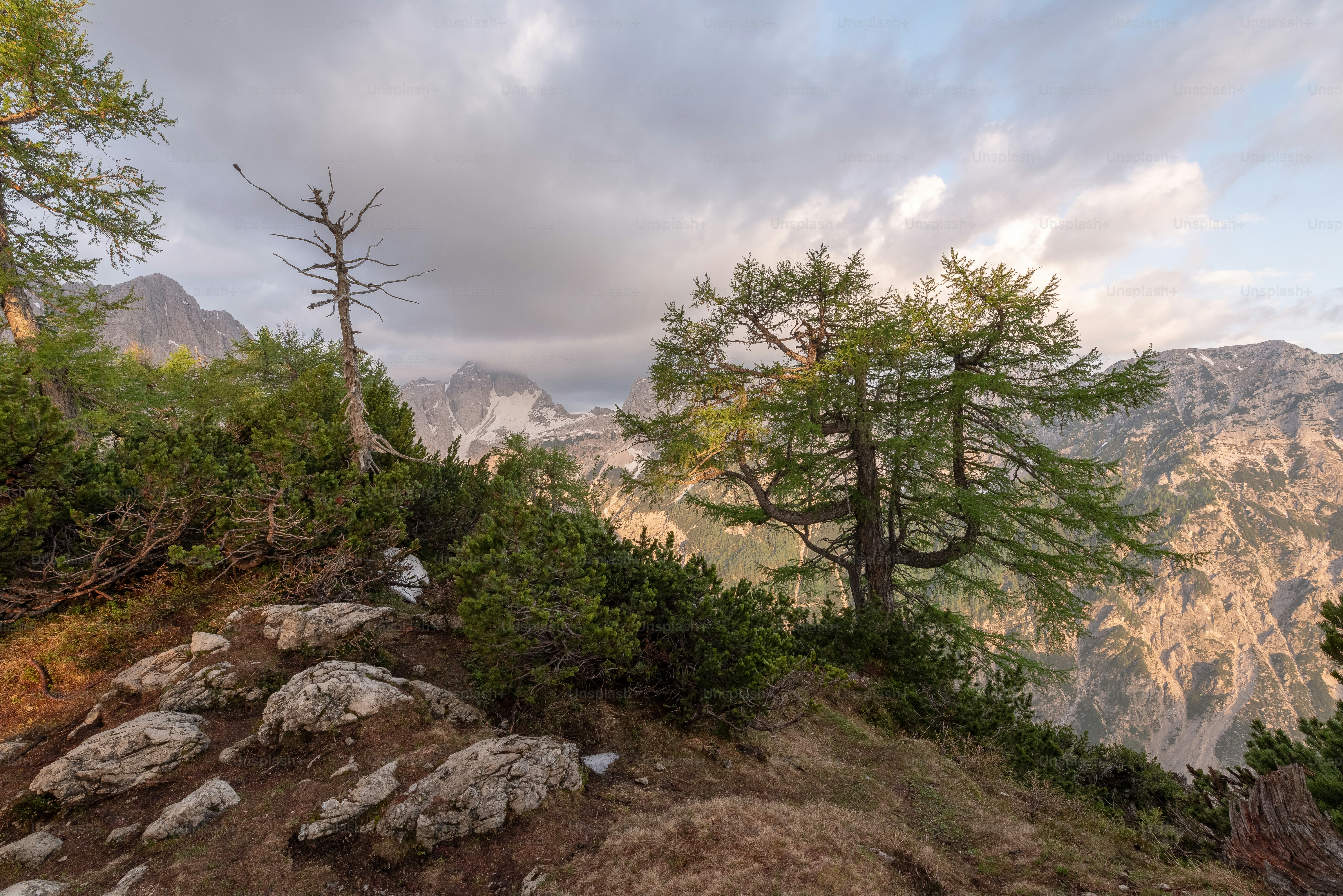 Blick auf einen Berg mit ein paar Bäumen darauf