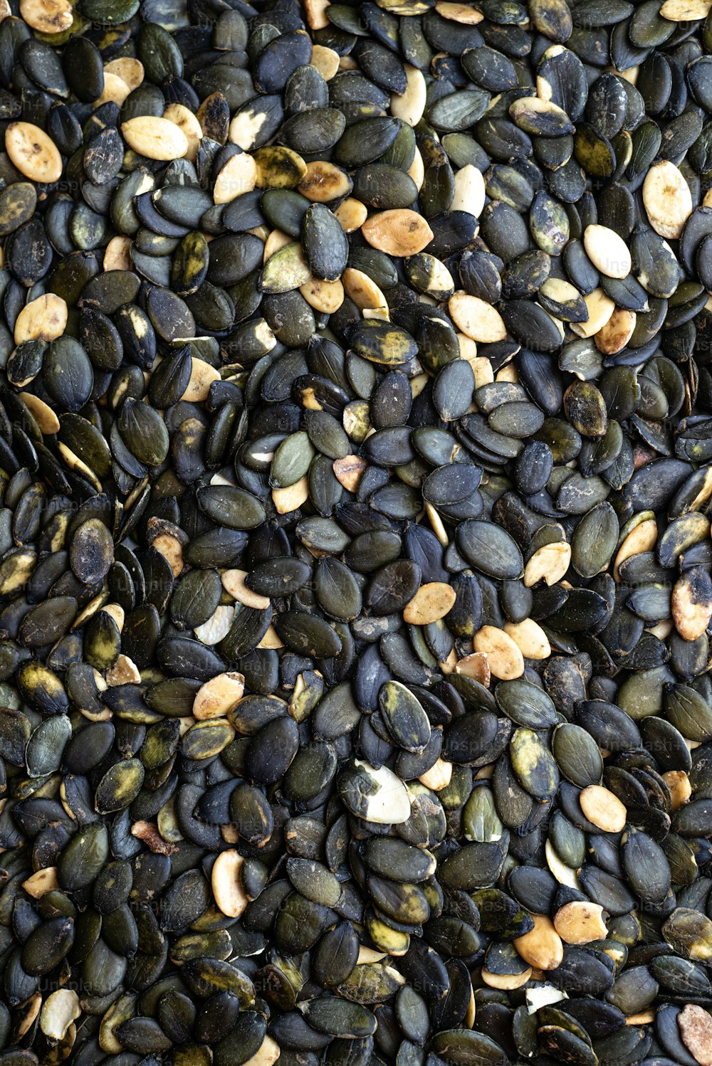 a close up of a pile of seeds