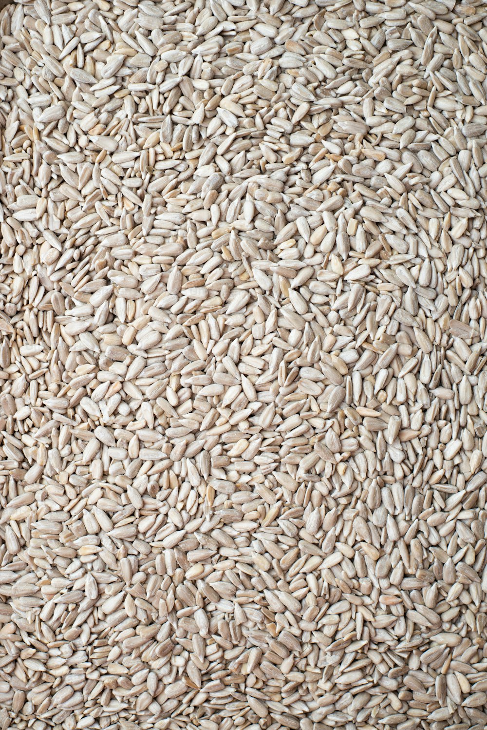 Gros plan d’un tas de riz