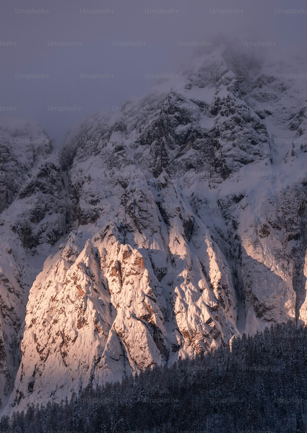 Una montagna coperta di neve e circondata da alberi
