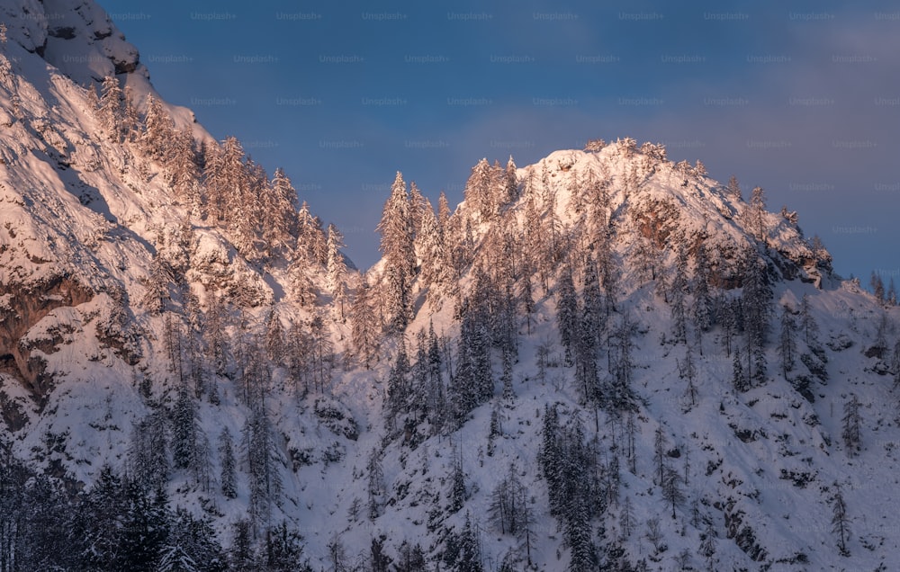 uma montanha coberta de neve e árvores sob um céu azul