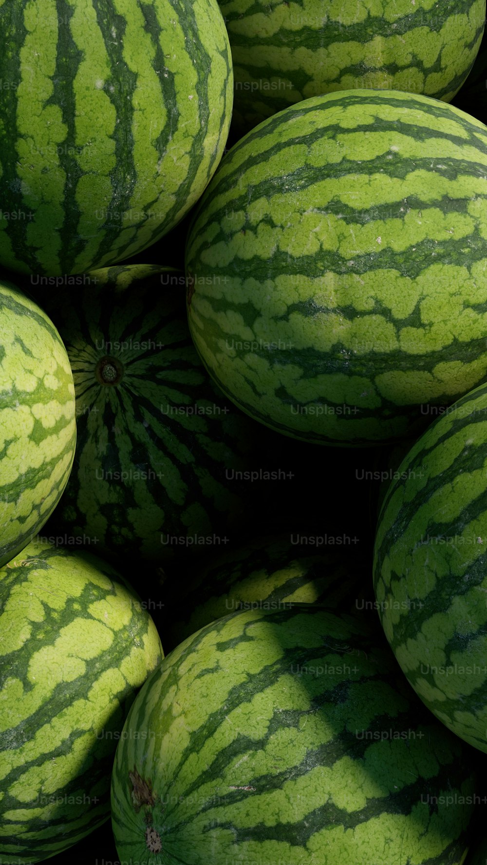 Ein Haufen Wassermelonen sitzt nebeneinander