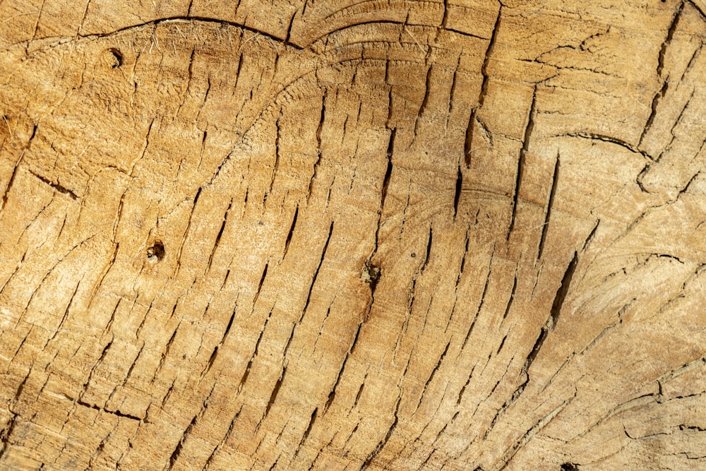 um pedaço de madeira que foi cortado ao meio