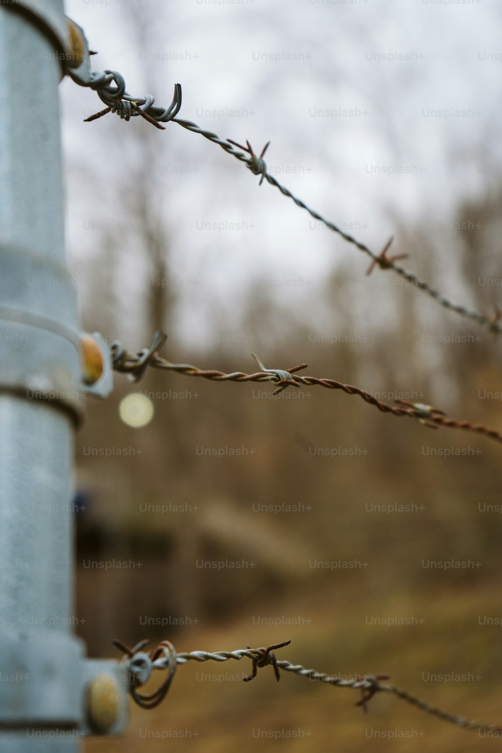 a close up of a barbed wire fence
