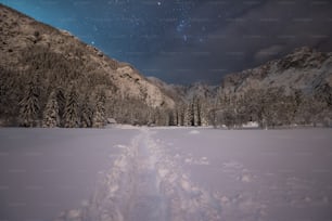 a snow covered field with a trail going through it